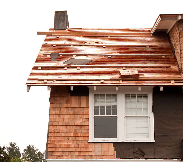 Best Storm Damage Siding Repair  in Evadale, TX